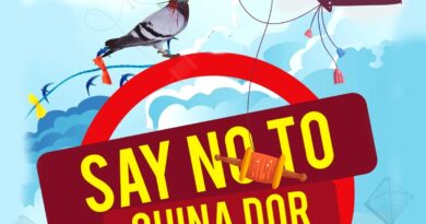 danger-of-chinese-manja-1