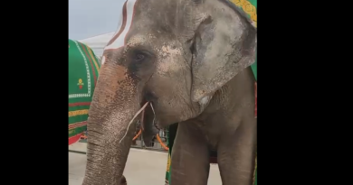 free-darshanam-in-tirupathi