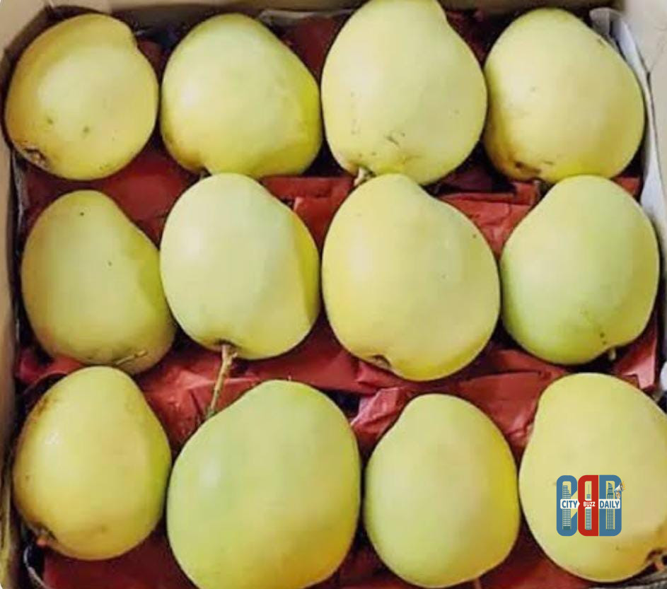 Banganapalli Mango Fetches ₹1.75 Lakh Per Tonne