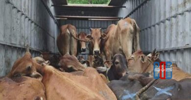 bhadrachalam-police-seize-container-carrying-cows