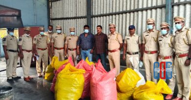 excise-destroys-953kg-ganja-khammam