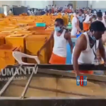 medaram-hundi-counting-hanumakonda-day-one-collection