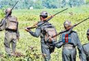 Security forces involved in anti-Maoist operations in Andhra Pradesh