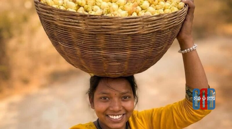 Ippa flowers used for traditional liquor preparation by tribal communities