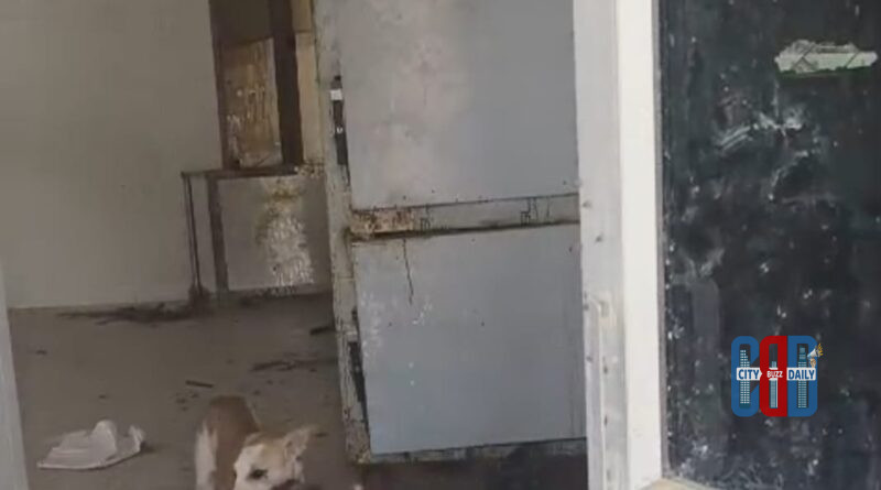 Jadcherla Government Hospital mortuary incident at Mahabubnagar district hospital