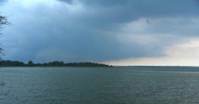 El Nino set to strengthen during southwest monsoon season: IMD