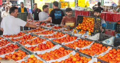 El Nino likely to impact food prices, inflation projected to settle in 5.2–5.5 pc range in FY27