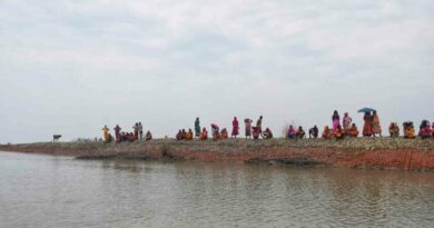 Bengal govt starts process for mangrove restoration on encroached Sundarbans forestland