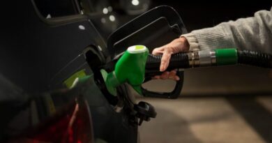E20 petrol improves performance and cuts emissions, government tells Rajya Sabha
