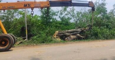 Khammam R&B department denies felling trees for CM Revanth’s meeting