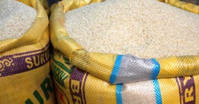 Cabinet approves better-quality rice under PMGKAY for over 80 crore beneficiaries