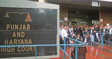 Sloganeering alone cannot attract sedition charges, says Punjab and Haryana HC