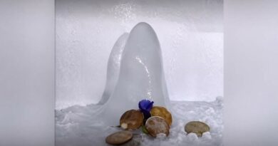 Ice formation inside Agra household fridge draws crowds, sparks faith vs science debate