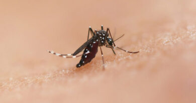 Type 2 diabetes raises risk of severe dengue complications: Review
