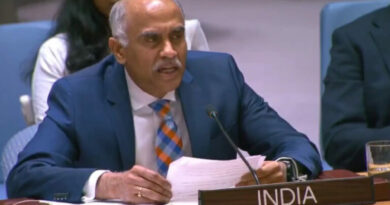 Critical minerals must drive sustainable development, India tells UN