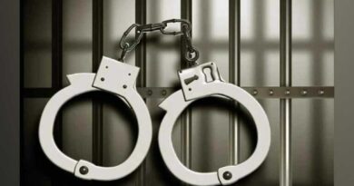 Man booked after allegedly shooting stray dog over attack on pet in Shivamogga