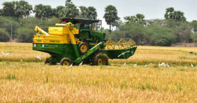 Telangana crop area rises 10 per cent despite El Niño impact