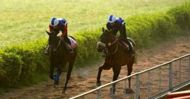 Delhi Race Club eviction: Historic stables reduced to rubble as Centre takes possession