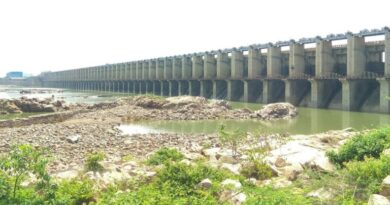 Reduced rainfall cuts flood inflows into key Telangana projects; gates closed