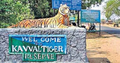 Eight forest officials suspended within 6 months in Kawal