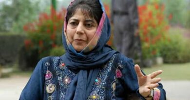 Ex-CM Mehbooba Mufti calls herself ‘dimaagi Naxal’ over Article 370 support