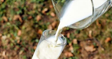 FDA busts major milk adulteration racket in Navi Mumbai