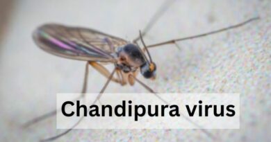 Gujarat’s Chandipura virus deaths revive memories of Telangana’s 2003 outbreak