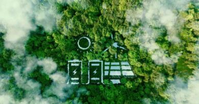 Green India Mission brings over 1.84 lakh hectares under eco-restoration since 2015-16: Govt