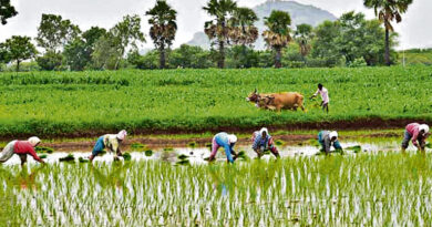 AI-powered weather forecasts help small farmers in Telangana save USD 560 each: WB report