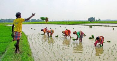 India’s monsoon improves, eases risks for Kharif crop: Report