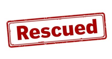 Three rescued after old building collapses in Delhi’s Kashmere Gate