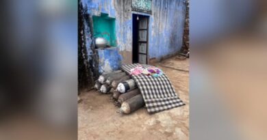 Aravallis: Villagers bear the health cost of decades of mining