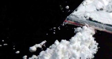 Telangana EAGLE Force traces 60 alleged hydroponic ganja transporters