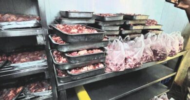 Cockroaches, rat faeces found as TG SAFE acts against 11 Hyderabad eateries