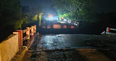 Bridge collapses across Palavaagu stream in Kothagudem, no casualties reported