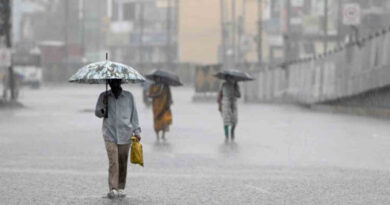 Light to moderate rains bring relief to farmers in Asifabad, Mancherial