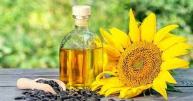 Govt cuts crude sunflower oil import duty to nil, lowers soybean and palm oil duty to 5 pc