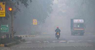 Delhi could cut PM2.5 burden by 20 per cent by 2040 if air standards met on time: Report