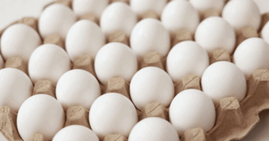 Mangaluru food safety officials inspect facility after worm found inside online-purchased egg