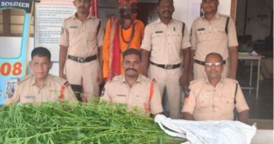 Four policemen injured in mob attack during ganja cultivation probe in Adilabad