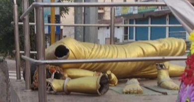 CCTV footage confirms monkeys damaged Chakali Ilamma statue in Medak
