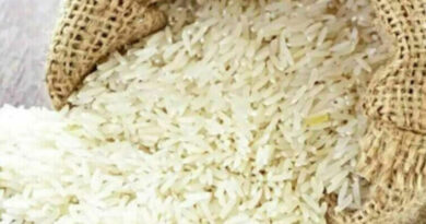 Tough to identify seven fine rice varieties that are eligible for bonus