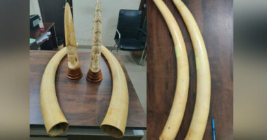 DRI seizes four elephant tusks, apprehends three in Hyderabad