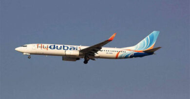 Indian pilot fought co-pilot during Flydubai cockpit incident, flight lands in Saudi Arabia