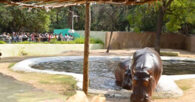 Hyderabad zoo draws nearly 22,000 visitors on Dussehra holiday