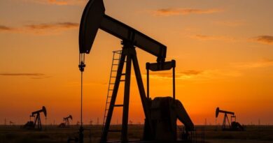 India’s LNG imports fall 14 per-cent, Oman tops supplier list in September