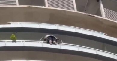 Man allegedly dies by suicide at Noida’s Supernova Spyra