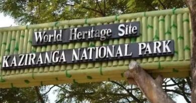 Kaziranga National Park reopens for 2026-27 tourist season