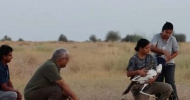 No words of praise enough for them: Environment Minister extols scientists after Great Indian Bustards release