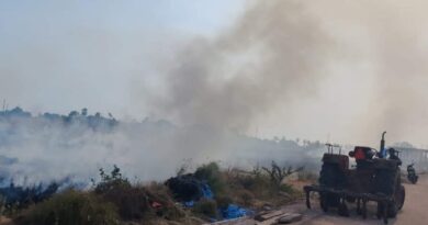 SC to hear Delhi-NCR pollution, stubble burning, green crackers cases today